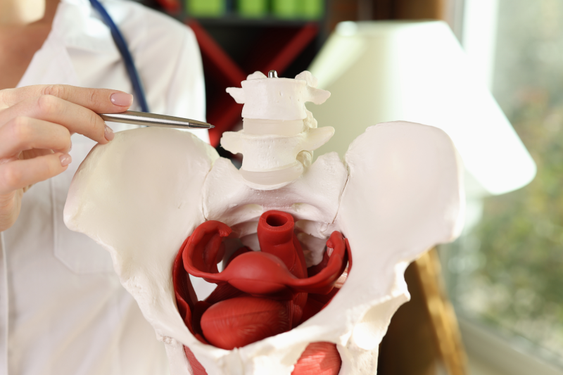 Pelvic Floor Physical Therapy (PFPT)