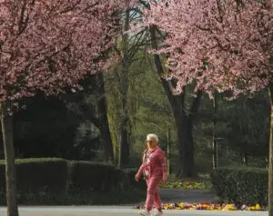 Spring into Wellness: Prioritizing Mental Health This Season