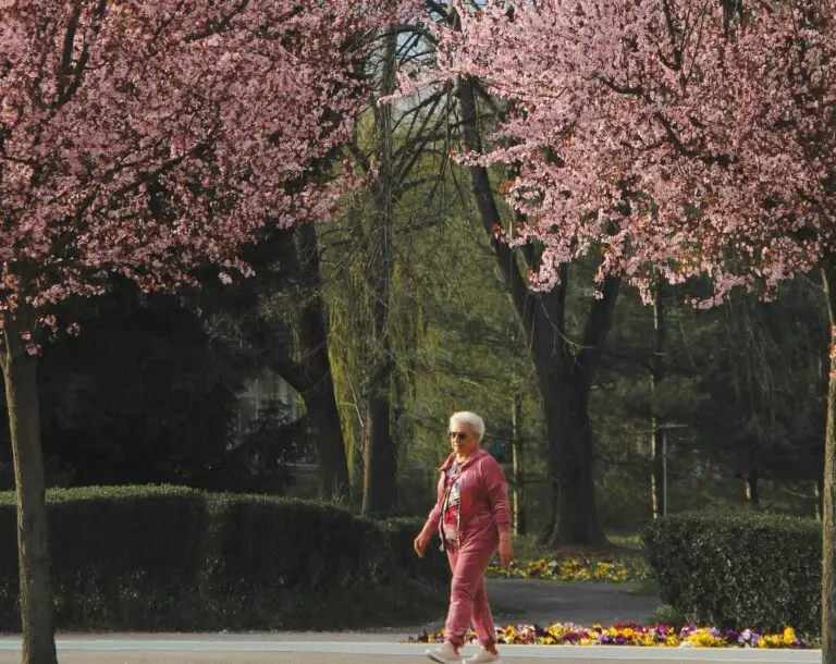 Spring into Wellness: Prioritizing Mental Health This Season